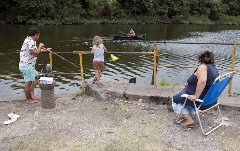 arazati RS254590_20250119_AM206