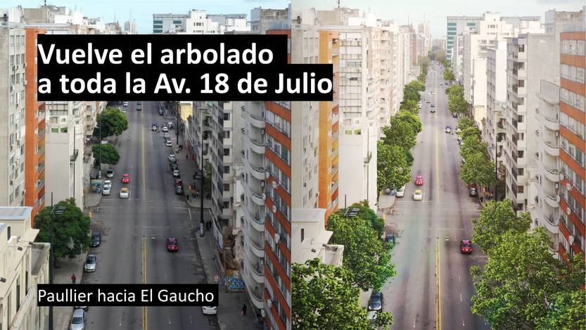 20230621 arbolado 2