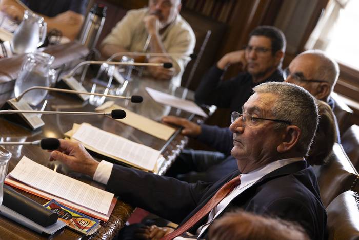 Gastón Grisoni, de Crysol, en la Comisión de Educación y Cultura por archivos de la dictadura (15.11.2023). · Foto: Ernesto Ryan