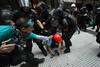 argentina sProtest