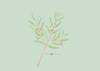 Lento 117 - Flora ornamental 09
