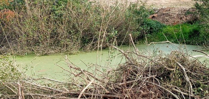 Arroyo San Carlos, en Maldonado. Foto proporcionada por vecinos de la zona