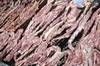 asado 20220410JC_0124