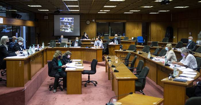 La Comisión de Salud de Diputados, durante la reunión virtual con autoridades de ASSE, este jueves, en el Anexo. · Foto: Ernesto Ryan