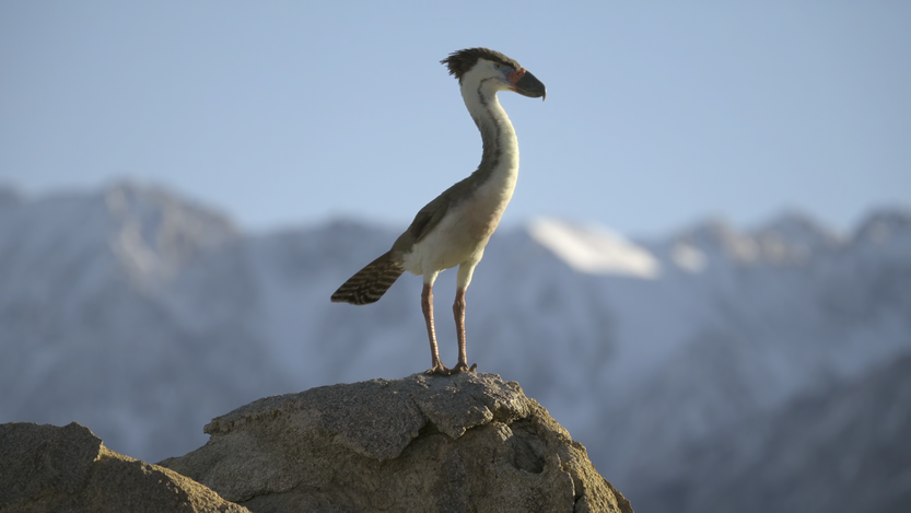 20251209 cie erahielo 1