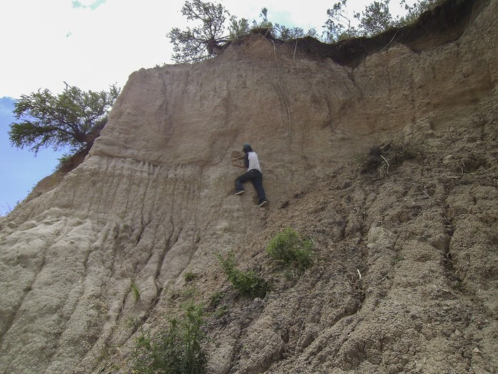 Barrancas de Arazatí y paleontólogo trabajando en ellas. Foto: gentileza Daniel Perea