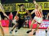 basquet ww image