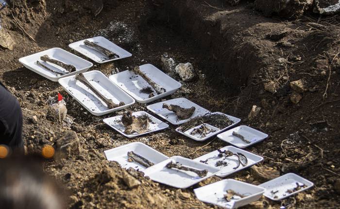 Restos óseos hallados en el Batallón 14, en Toledo (archivo, junio de 2023). · Foto: Ernesto Ryan