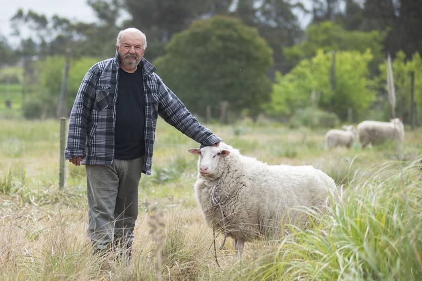 20221025 SUPLE AGROECOLOGIA bertola