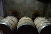 20250408 TURISMO bodega canelones