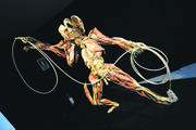 Foto Nº1 de la galería del artículo 'La anatomía como obra de arte'