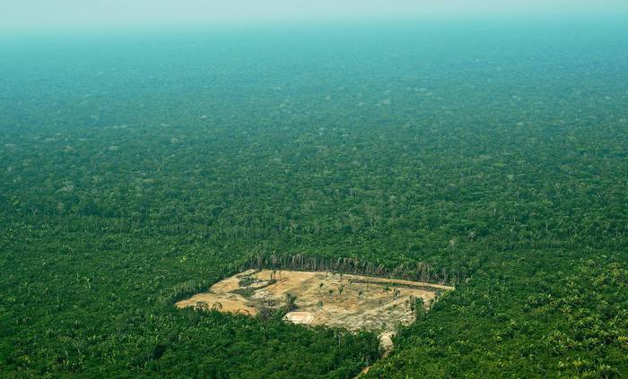 Deforestación en la región oeste del Amazonas. (archivo, setiembre de 2017) · Foto: Carl De Souza