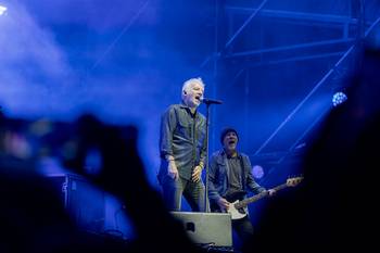 Buitres (archivo, mayo de 2025). · Foto: Rodrigo Viera Amaral