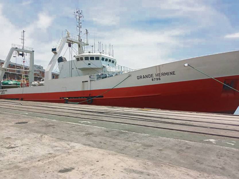 20230127 puerto