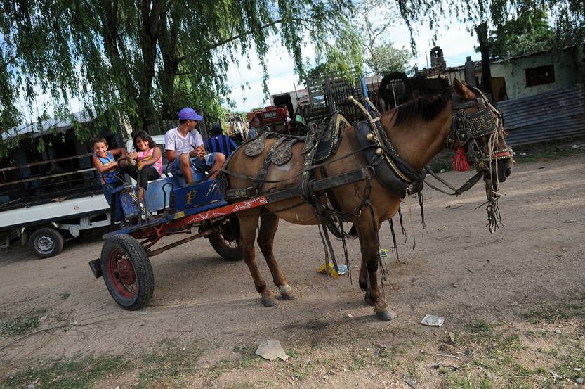 caballo 20130204NC_024