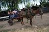 caballo 20130204NC_024