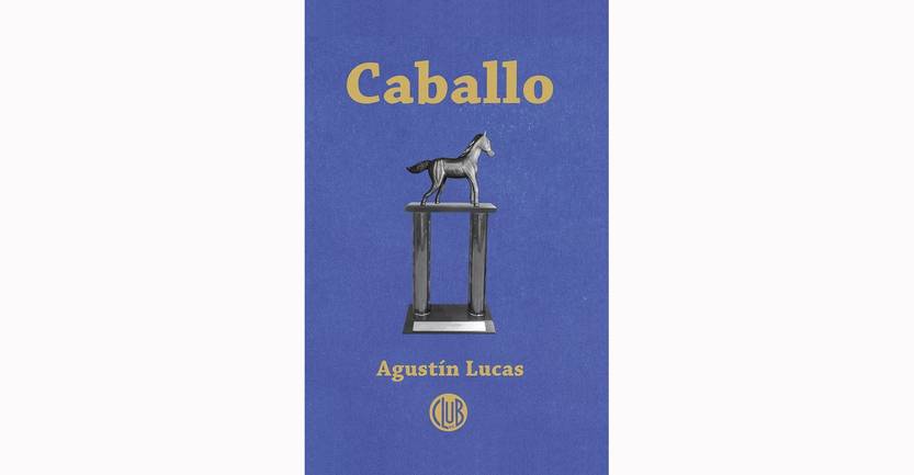 20231023 caballo
