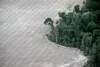 20260615 cambio climatico