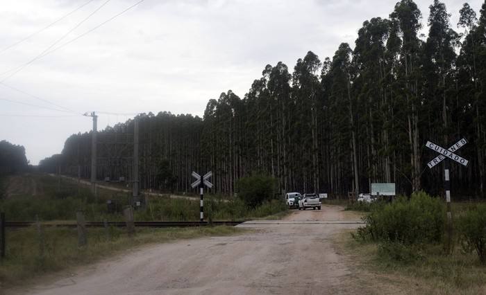 Foto principal del artículo 'Comité ciudadano expresa preocupación por cambios en el control del programa de mantenimiento de caminos rurales' · Foto: Sandro Pereyra