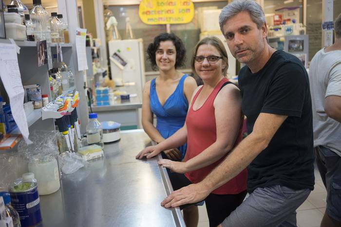 Cecilia Taulé, Patricia Vaz y Federico Battistoni, en el instituto de Investigaciones Biológicas Clemente Estable. · Foto: Mariana Greif
