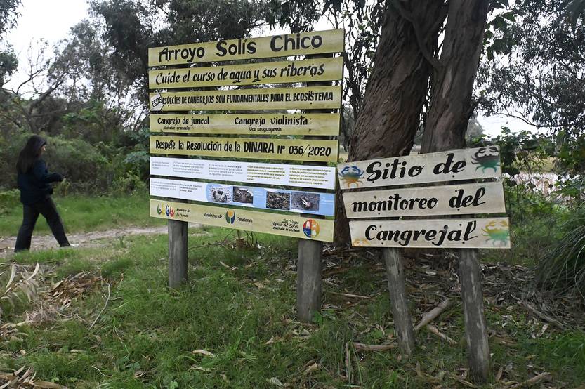 20250818 adelanto cangrejal 02