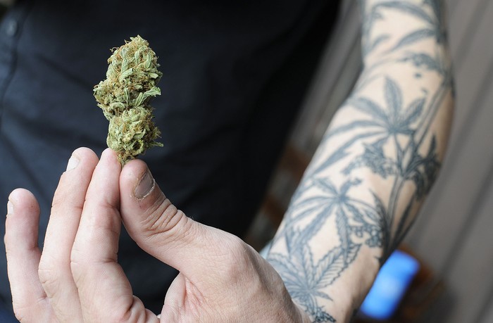 Expocannabis 2017. · Foto: Juan Manuel Ramos