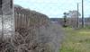 carcel RS121498_20220603FGI0033_1