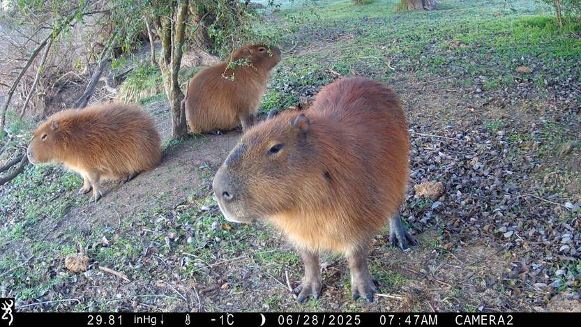 20260112 lunes casupá02