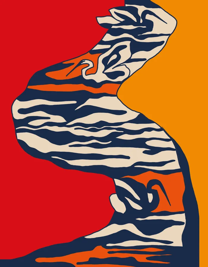 Foto principal del artículo 'Viejas poceras' · Ilustración: Ceci Ro