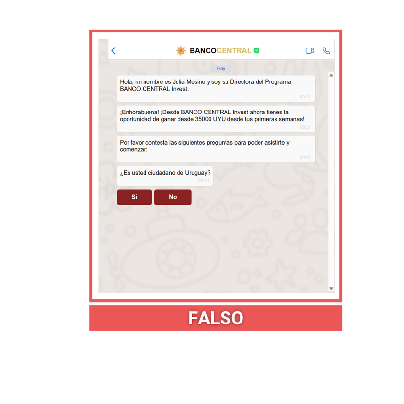fake chat