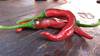 Foto principal del artículo 'Chiles: Picor y termostato' Foto principal del artículo 'Chiles: Picor y termostato'