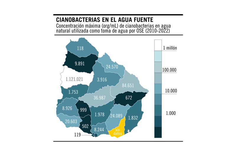Cianobacterias en el agua fuente
