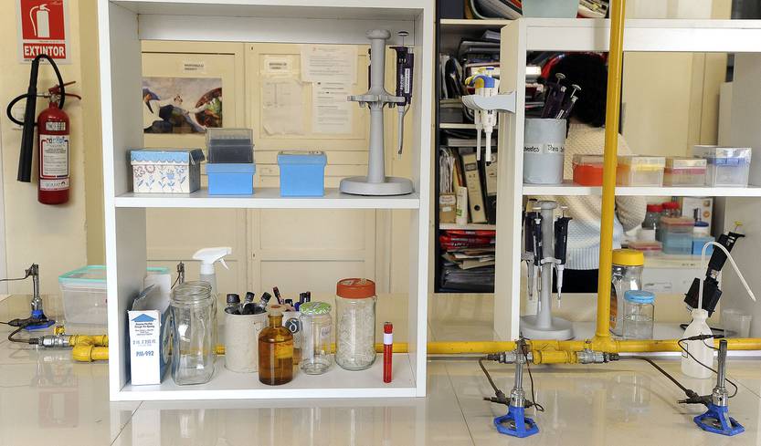 ciencia RS125103_20220622FGI0131_1