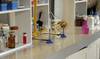 ciencia RS125113_20220622FGI0083_1