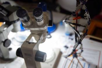 Foto principal del artículo 'Realismo, imaginación, experimentación: buenos ingredientes para las políticas de CTI' · Foto: Mara Quintero