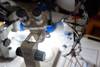 ciencia RS229705_20240903MQ_0751