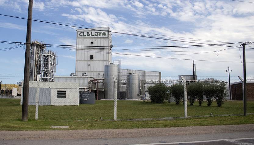 claldy RS71160_20210319AM_0001 (1)