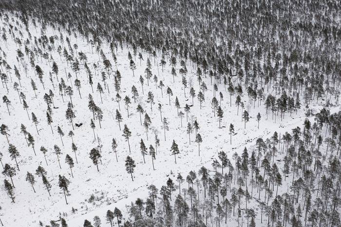 Utsjoki, al norte de Finlandia. · Foto: Jonathan Nackstrand, AFP