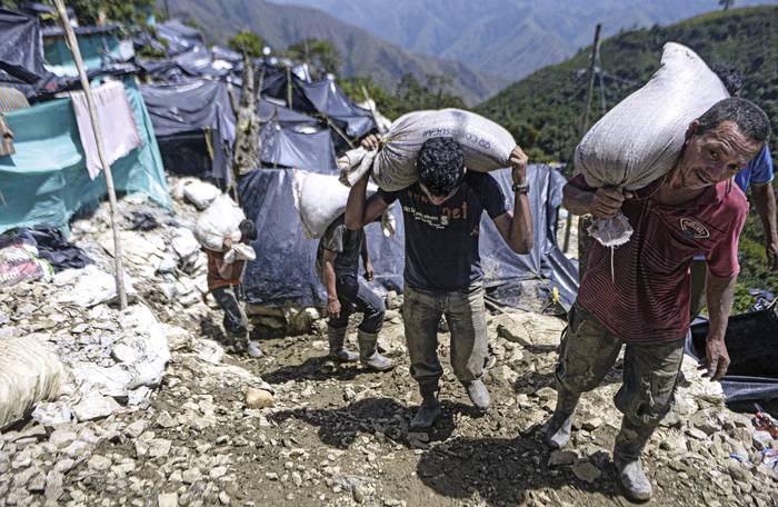 Mineros cargan bolsas de rocas que contienen oro extraído de una mina de oro ilegal en San Antonio, cerca del municipio de Buritica en el noroeste del departamento de Antioquia. · Foto: Raúl Arboleda, AFP.