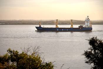 Río Uruguay próximo al puerto de Nueva Palmira (archivo, julio 2015)
Río Uruguay próximo al puerto de Nueva Palmira (archivo, julio 2015)