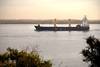 Río Uruguay próximo al puerto de Nueva Palmira (archivo, julio 2015)
· Foto: Ricardo Antúnez, adhocFOTOS Río Uruguay próximo al puerto de Nueva Palmira (archivo, julio 2015)
· Foto: Ricardo Antúnez, adhocFOTOS