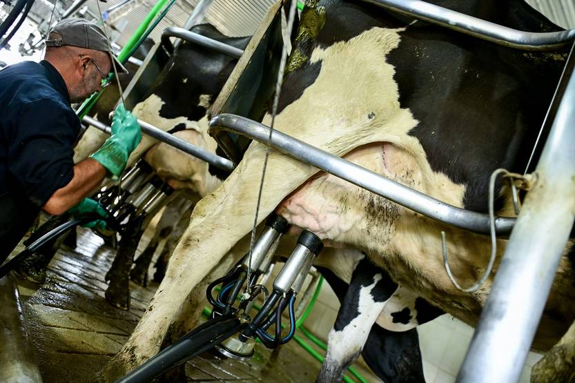 20251106 agropecuaria queso colonia4