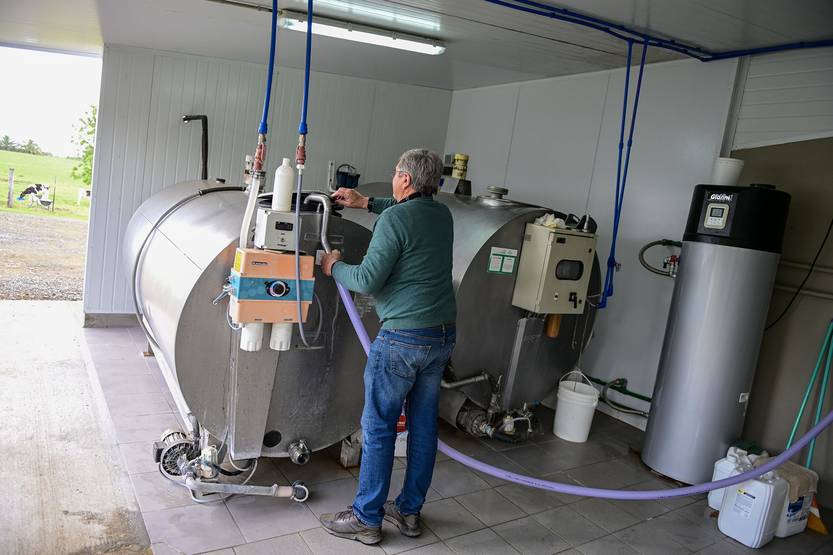 20251106 agropecuaria queso colonia6