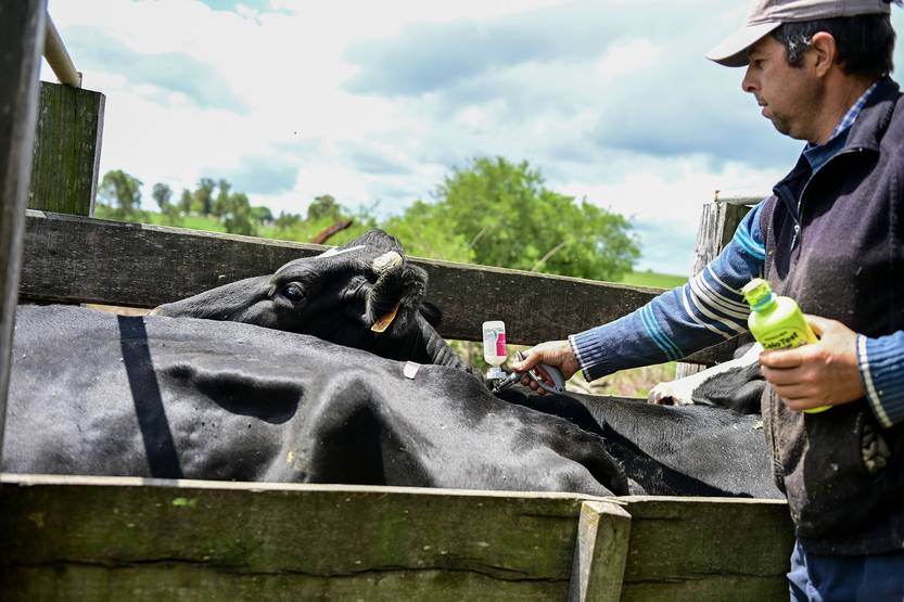 20251106 agropecuaria queso colonia7