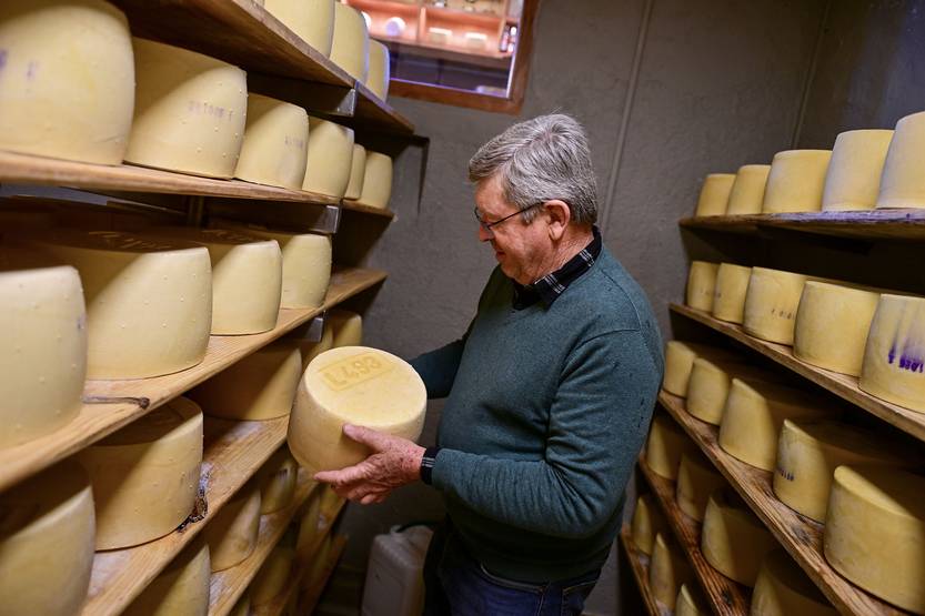 20251106 agropecuaria queso colonia9