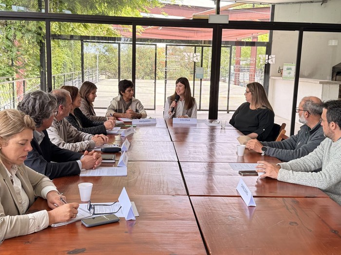 Foto principal del artículo 'La Comisión Interdepartamental de Personas con Discapacidad reclamó mayores recursos presupuestales' · Foto: Intendencia de Colonia