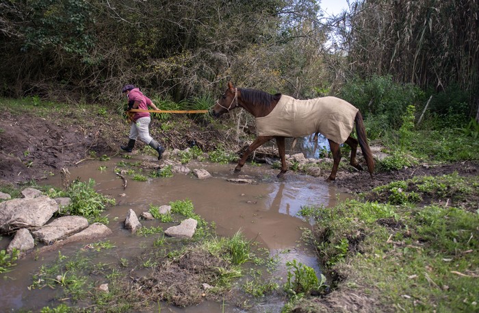 Concentración de colonos en la zona de Cuchilla Pereira (archivo, setiembre de 2021). · Foto: Alessandro Maradei