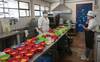 comedores RS252920_20250108_AM308