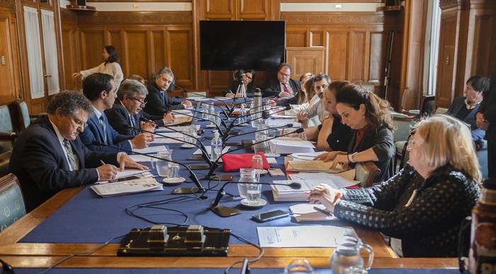 La Comisión de Asuntos Laborales trata sobre extrabajadores de Casa de Galicia. · Foto: Alessandro Maradei