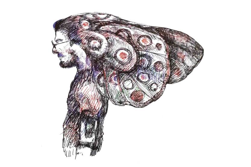 ilustración chile mariposa